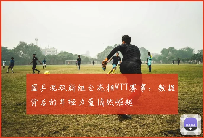 国乒混双新组合亮相WTT赛事，数据背后的年轻力量悄然崛起